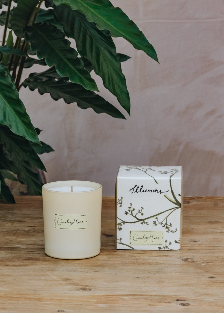 Interiors Illumens Candles & Fragrance | Illumens Candles