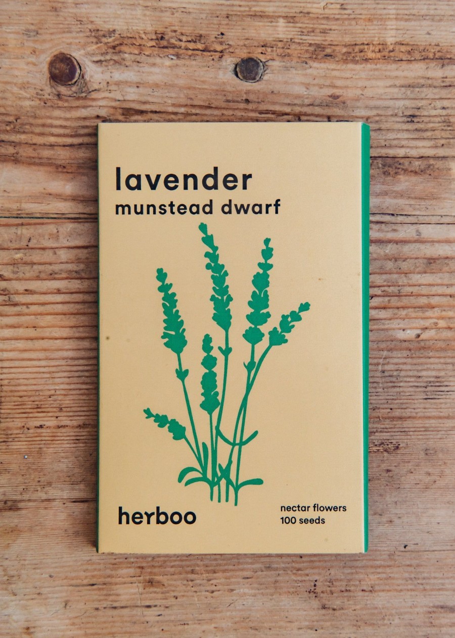 Plants Herboo Seeds Seeds | Dwarf Lavender Munstead Seeds