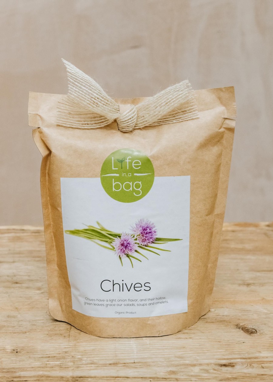 Plants Life in a Bag Seed Gift Sets | Life In A Bag Chives Grow Bag