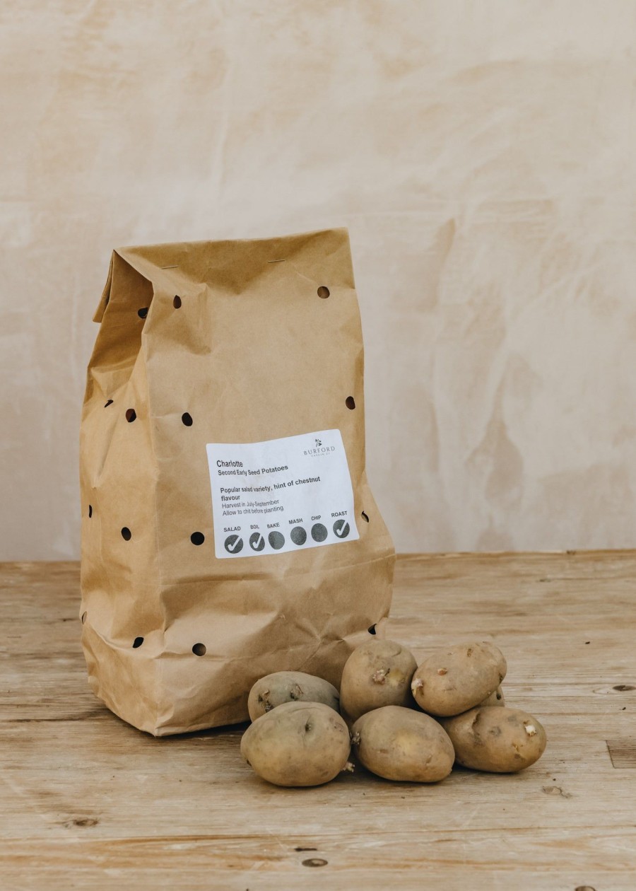 Plants Taylors Seed Potatoes | Potato 'Charlotte' 2Kg