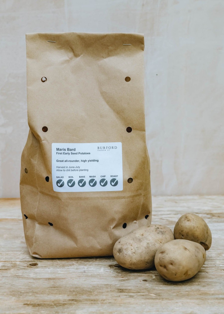 Plants Taylors Bulbs Seed Potatoes | Potato 'Maris Bard', 2Kg