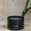 Interiors AJA Botanicals Candles & Fragrance | Aja Botanicals Black Triple Wick Candle In Into The Mystic, 525G