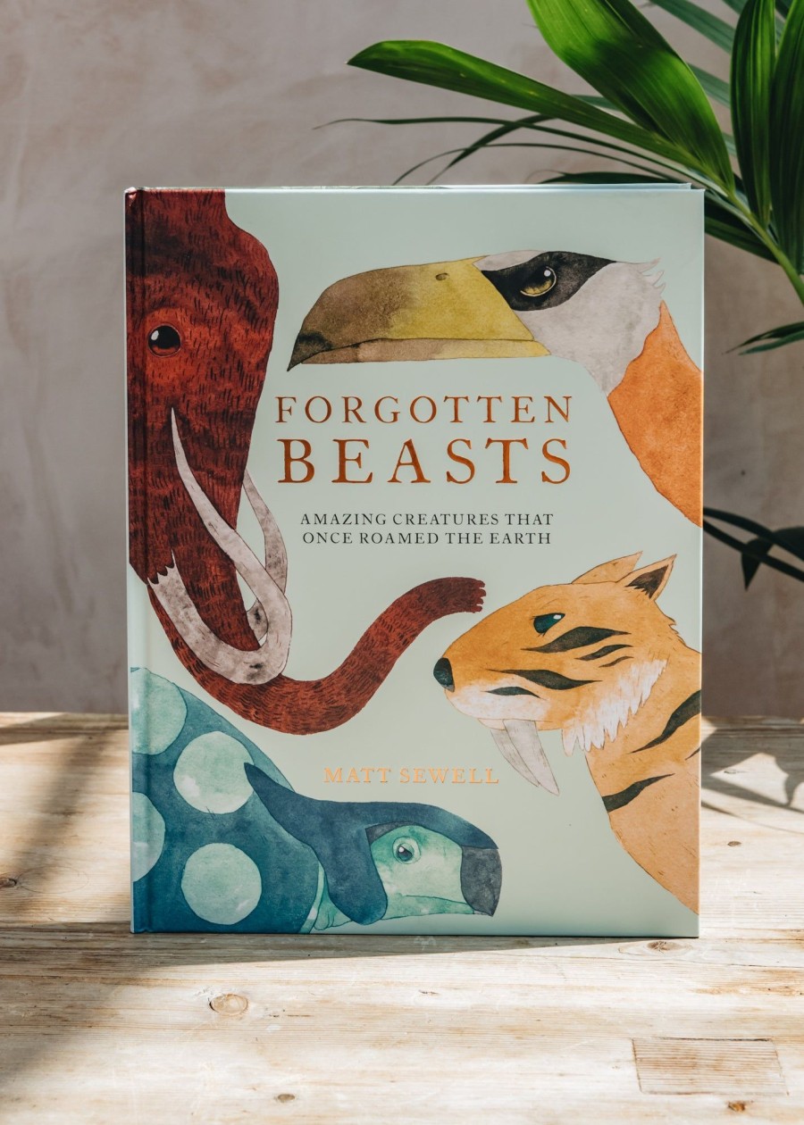 Children Children's Books Books | Forgotten Beasts: Amazing Creatures That Once Roamed The Earth