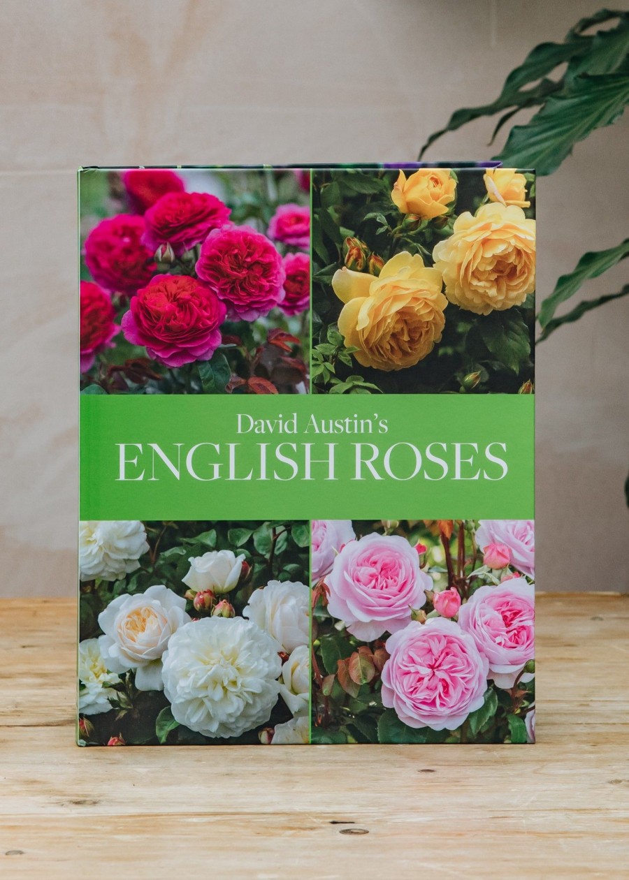 Books Gardening Books Garden & Plants Books | David Austin'S English Roses