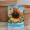 Plants Thompson & Morgan Seeds | Sunflower Russian Giant Seeds