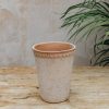 Interiors Bergs Potter Houseplants & Pots | High & Low Helena Pots