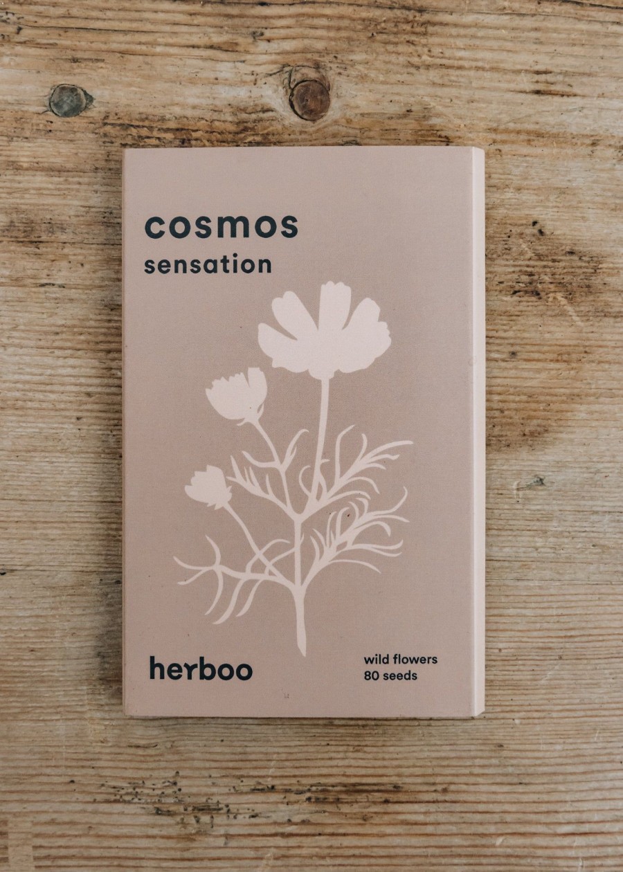 Plants Herboo Seeds Seeds | Cosmos Sensation Seeds