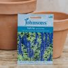 Plants Johnsons Seeds | Salvia Blue Victoria Seeds