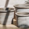 Interiors Bergs Potter Houseplants & Pots | Galestro Grey Pot