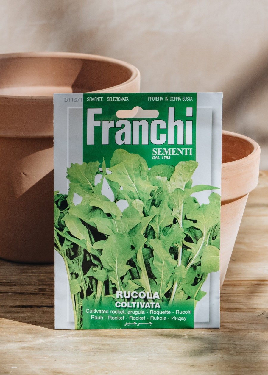 Plants Seeds of Italy Seeds | Franchi Cultivated Rocket Seeds