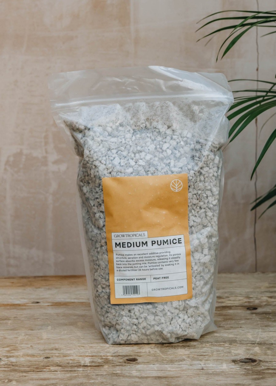 Gardening Growth Tropicals Houseplant Care | Medium Pumice, 2.5L