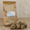 Plants Taylors Seed Potatoes | Potato 'Arran Pilot'