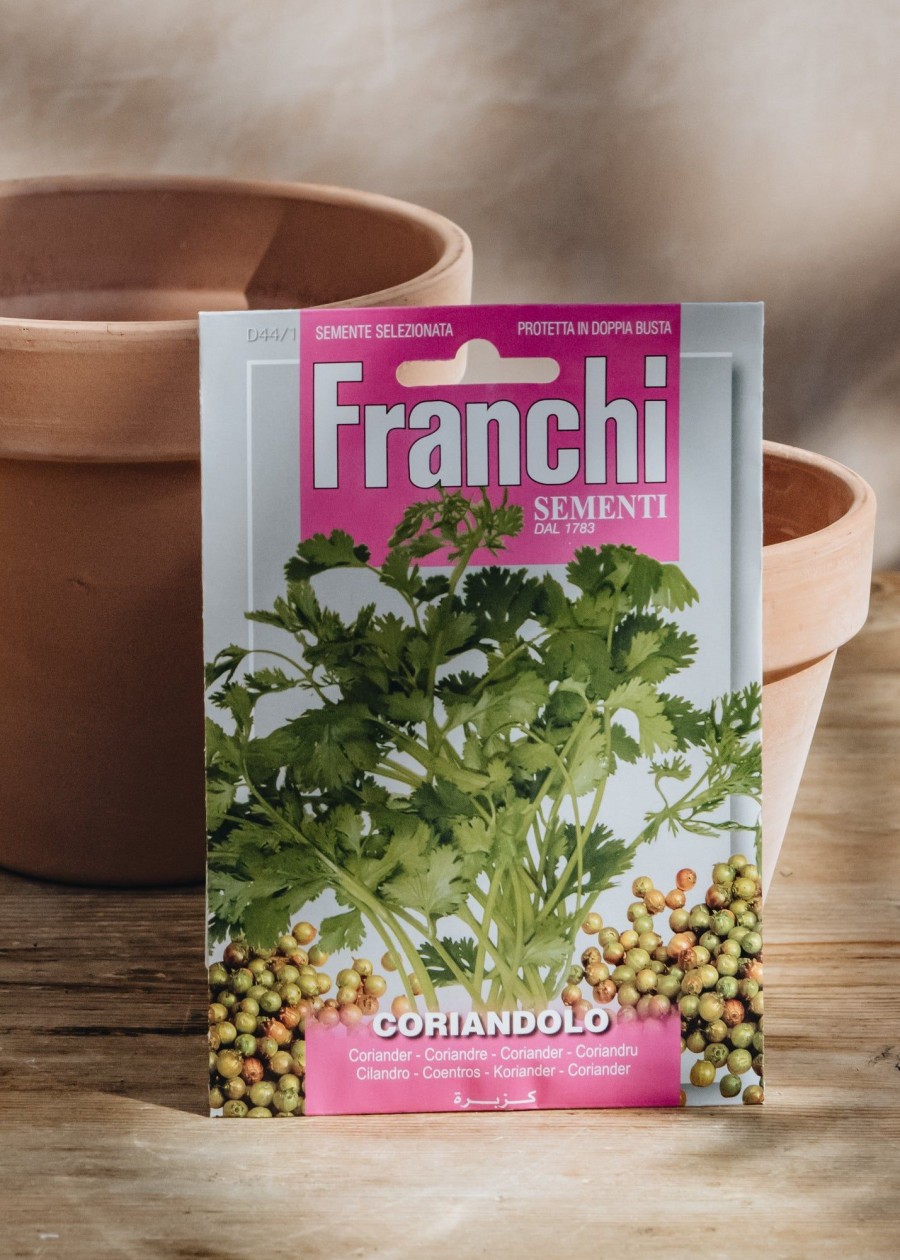 Plants Seeds of Italy Seeds | Franchi Coriander Seeds