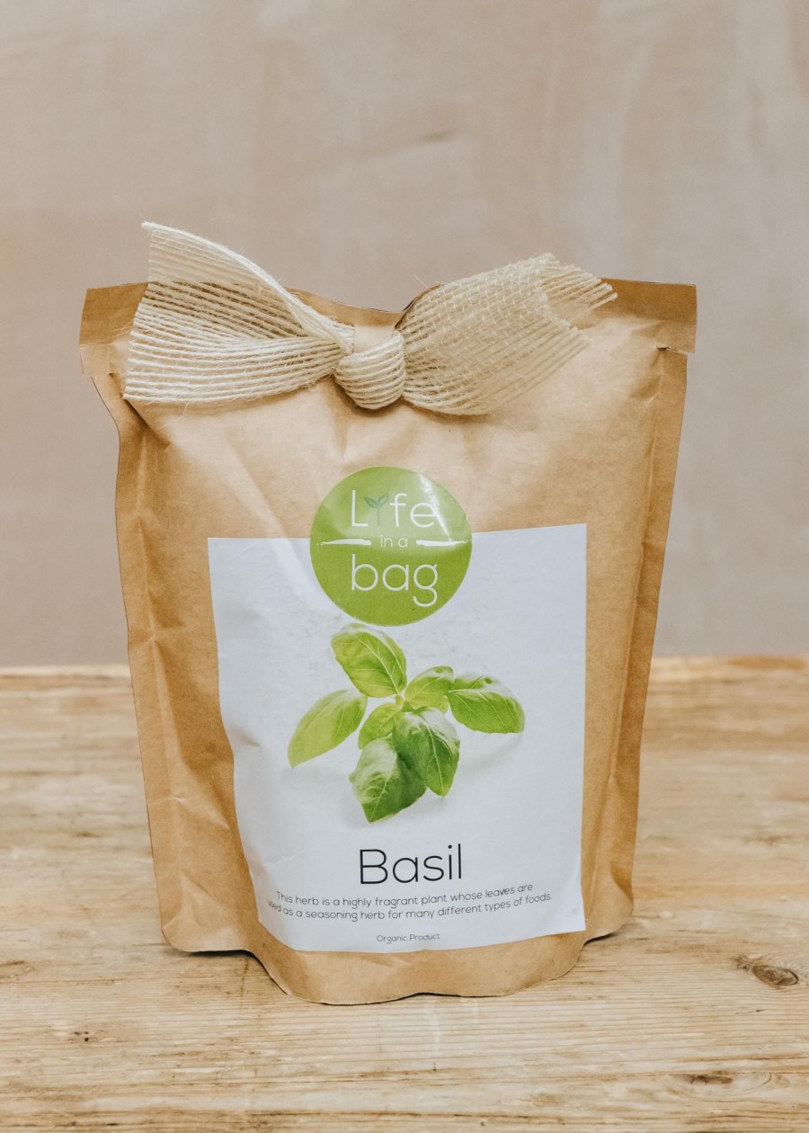 Plants Life in a Bag Seed Gift Sets | Life In A Bag Basil Grow Bag