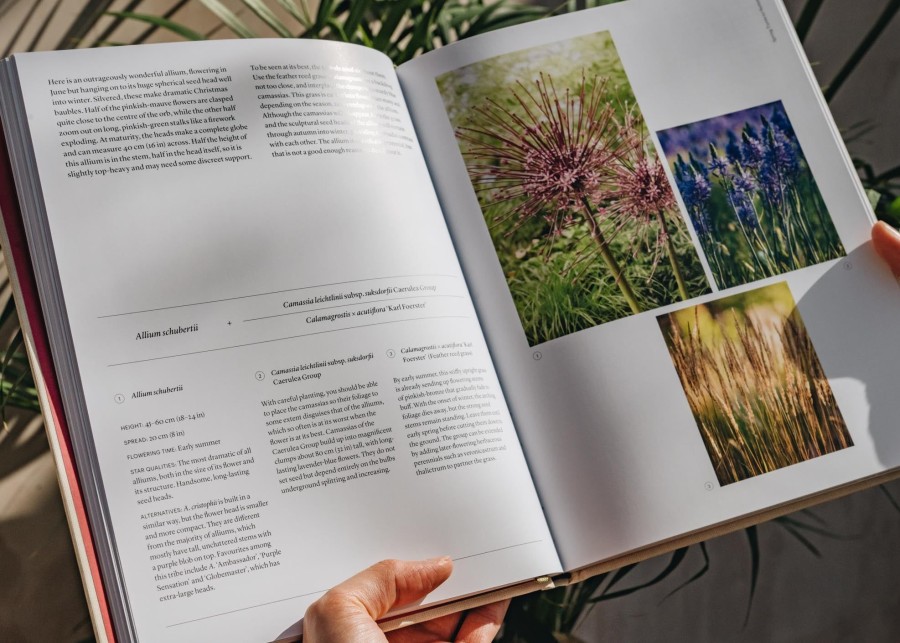 Books Books Garden & Plants Books | The Seasonal Gardener: Creative Planting Combinations