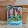 Plants Thompson & Morgan Seeds | Lupin Band Of Nobles Mixed Seeds