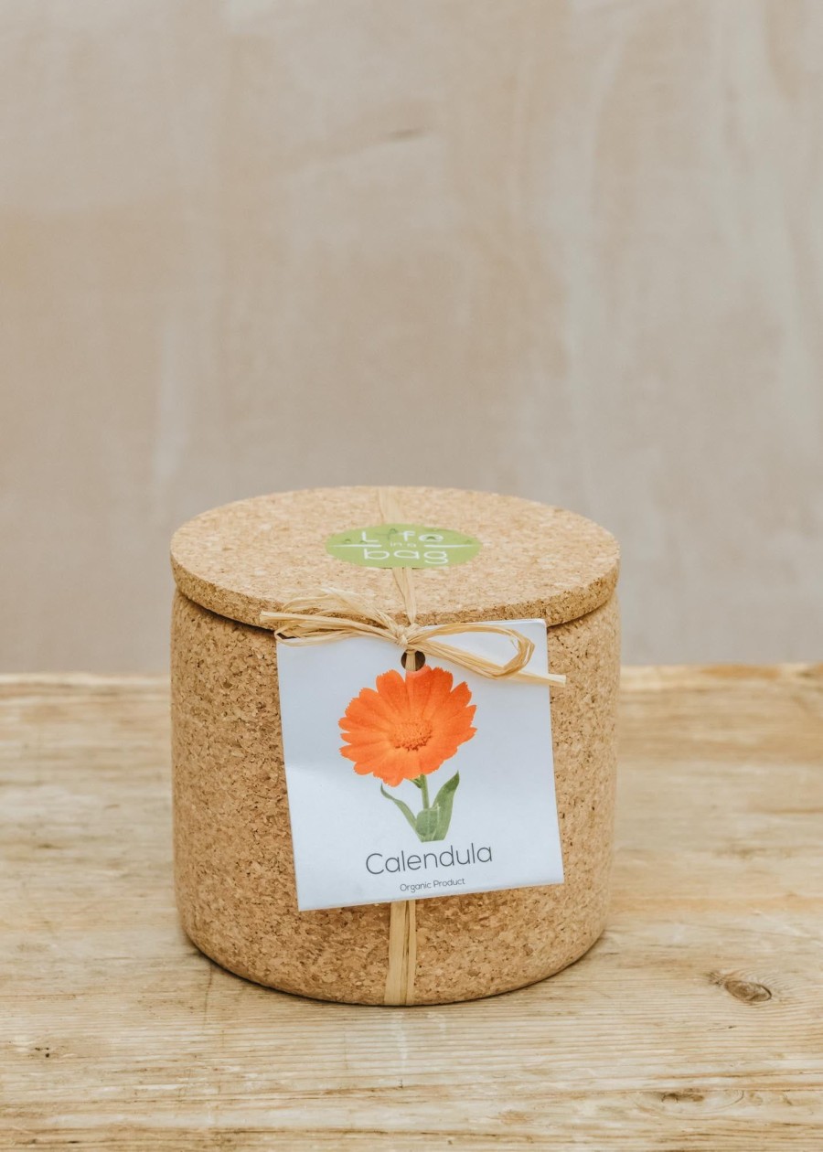 Plants Life in a Bag Seed Gift Sets | Life In A Bag Calendula Grow Cork Pot