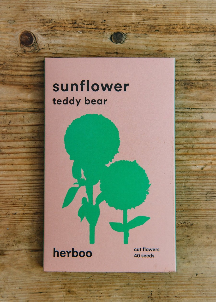 Plants Herboo Seeds Seeds | Sunflower Teddy Bear Seeds