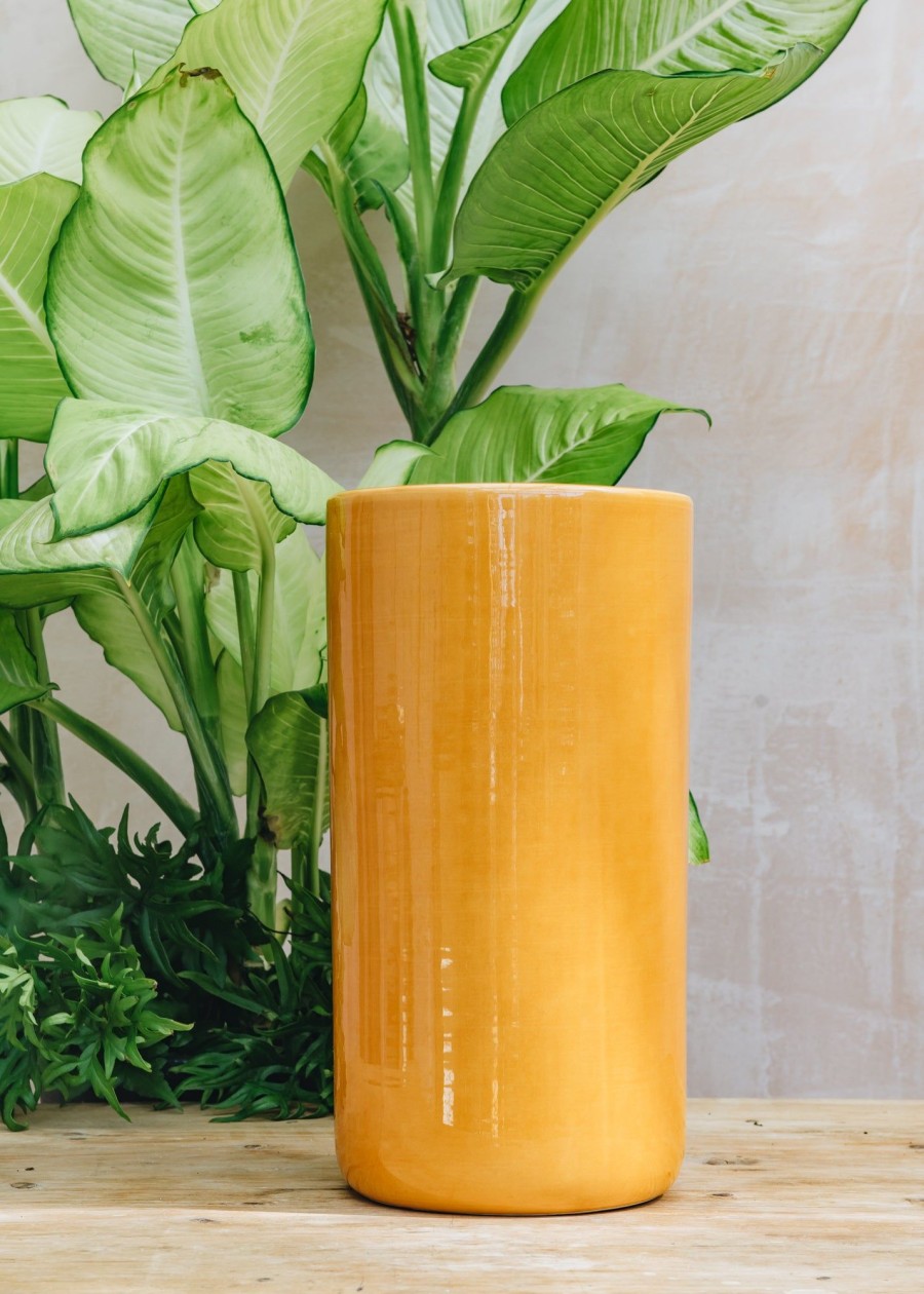 Interiors Bergs Potter Decorative | Amber Oak Vases