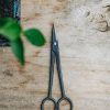 Gardening Niwaki Houseplant Care | Niwaki Kaneshin Bonsai Goyoumatsu Scissors