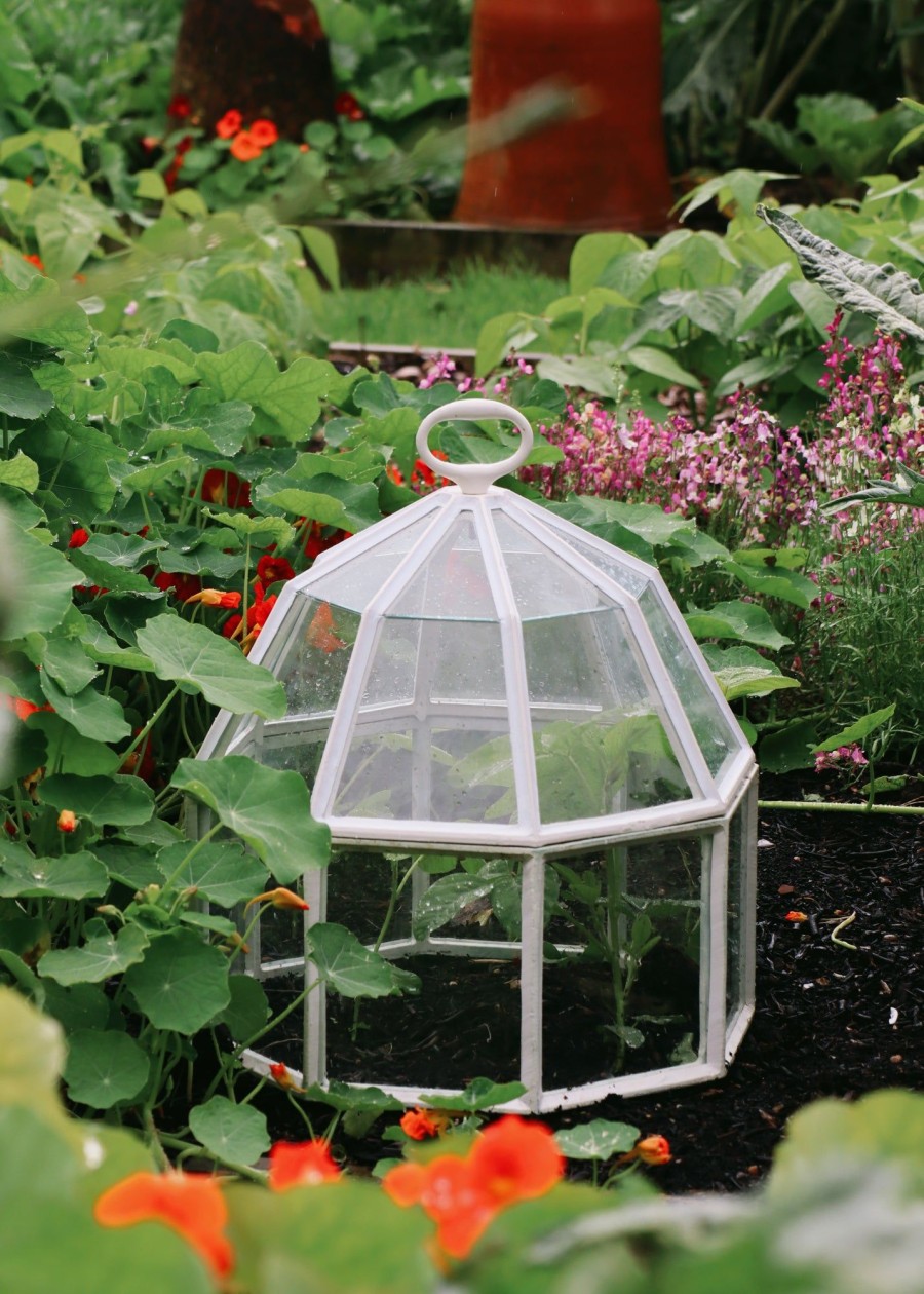 Gardening Claverton Cloches Greenhouses & Cloches | Claverton Cloches Victorian Style Octagonal Garden Cloche