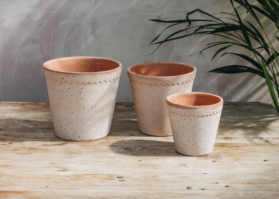 Interiors Bergs Potter Houseplants & Pots | Buy Rosa Helena Pots