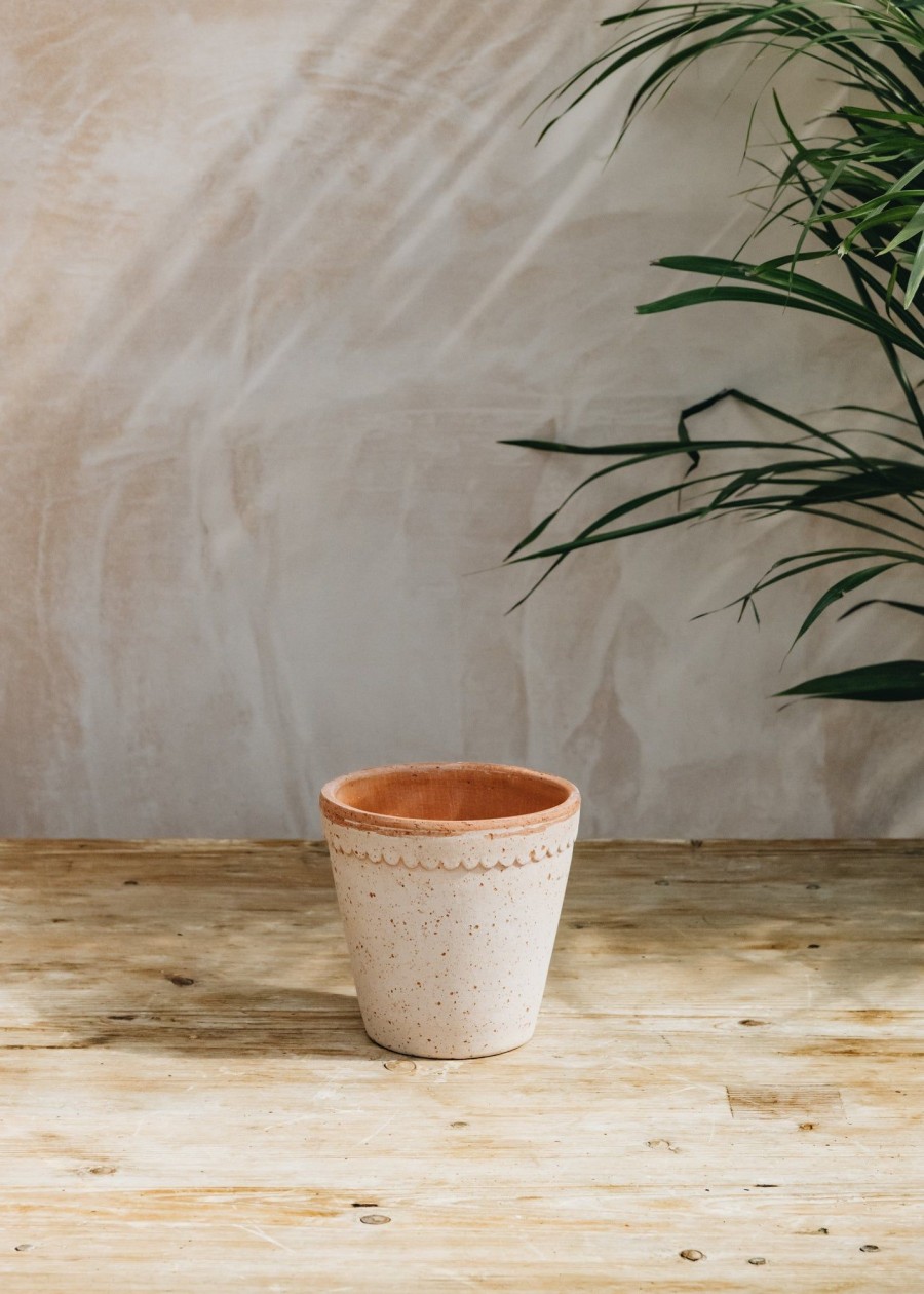 Interiors Bergs Potter Houseplants & Pots | Buy Rosa Helena Pots