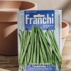 Plants Seeds of Italy Seeds | Franchi Dwarf Bean 'Vanguard' Seeds