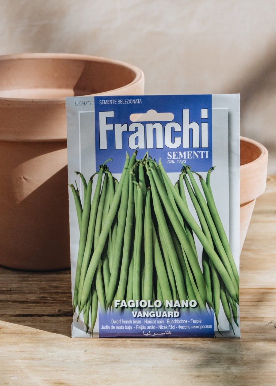 Plants Seeds of Italy Seeds | Franchi Dwarf Bean 'Vanguard' Seeds