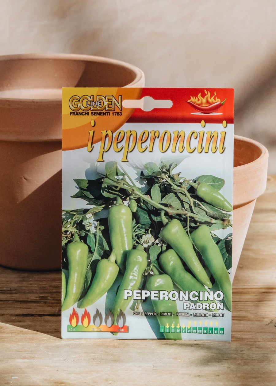 Plants Seeds of Italy Seeds | Franchi Pepper 'Padron' Seeds