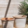 Interiors Bergs Potter Houseplants & Pots | Galestro Rosa Pot