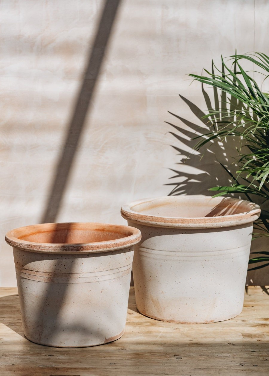 Interiors Bergs Potter Houseplants & Pots | Galestro Rosa Pot