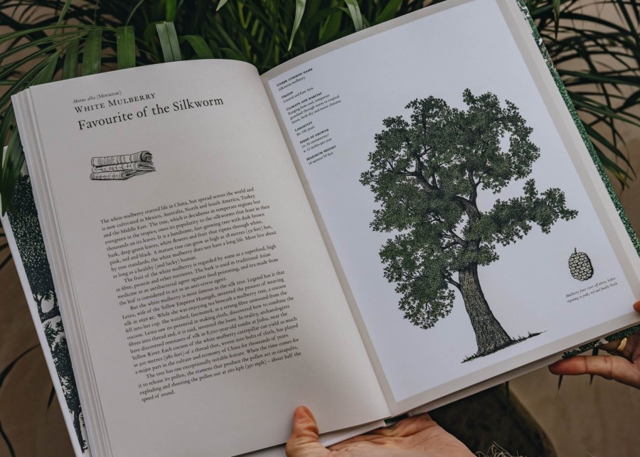 Books Garden and Plants Books Garden & Plants Books | Buy The Story Of Trees| Gift Books