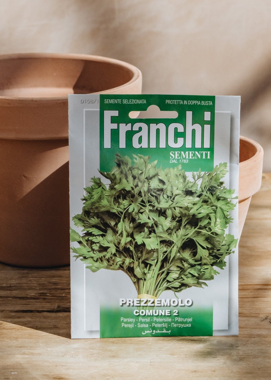 Plants Seeds of Italy Seeds | Franchi Parsley 'Comune 2' Seeds