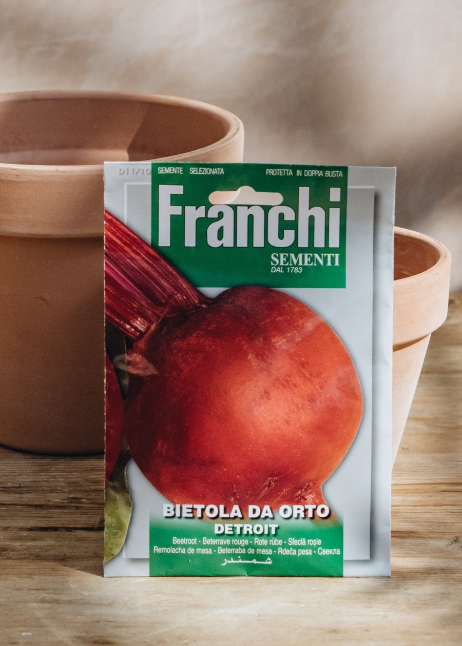 Plants Seeds of Italy Seeds | Franchi Seeds Beetroot 'Detroit'