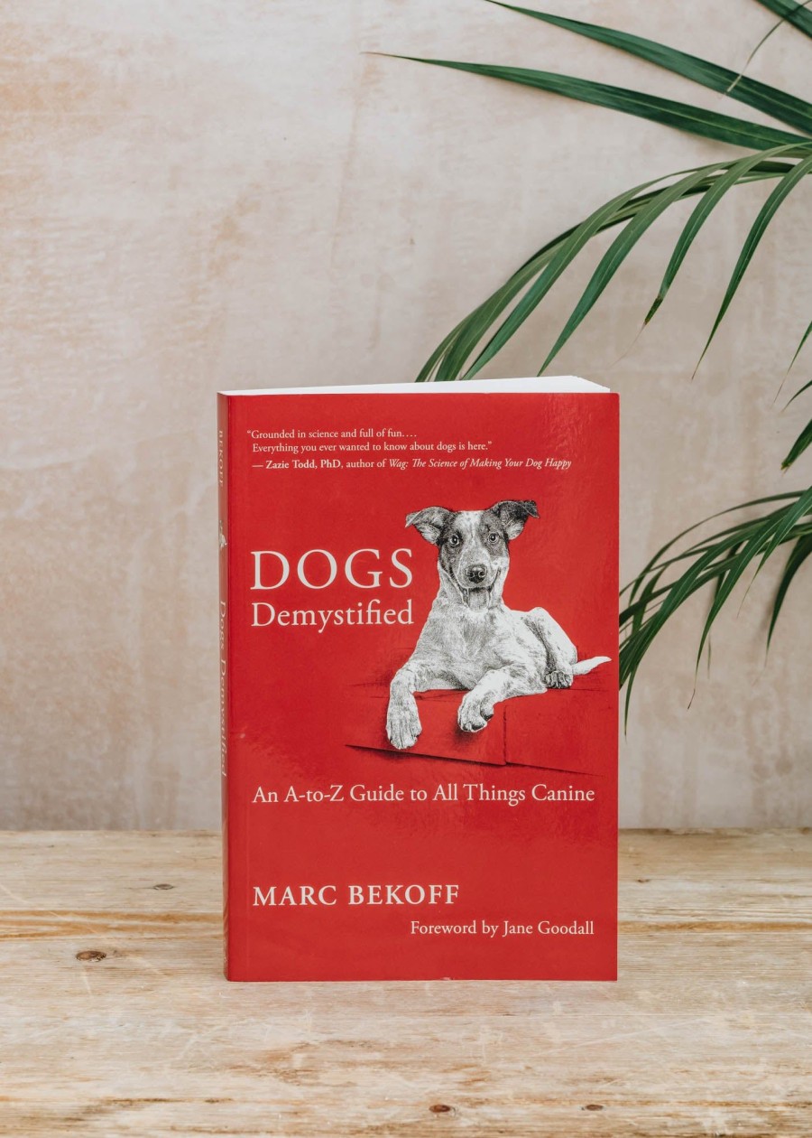 Books Books Culture Books | Dogs Demystified