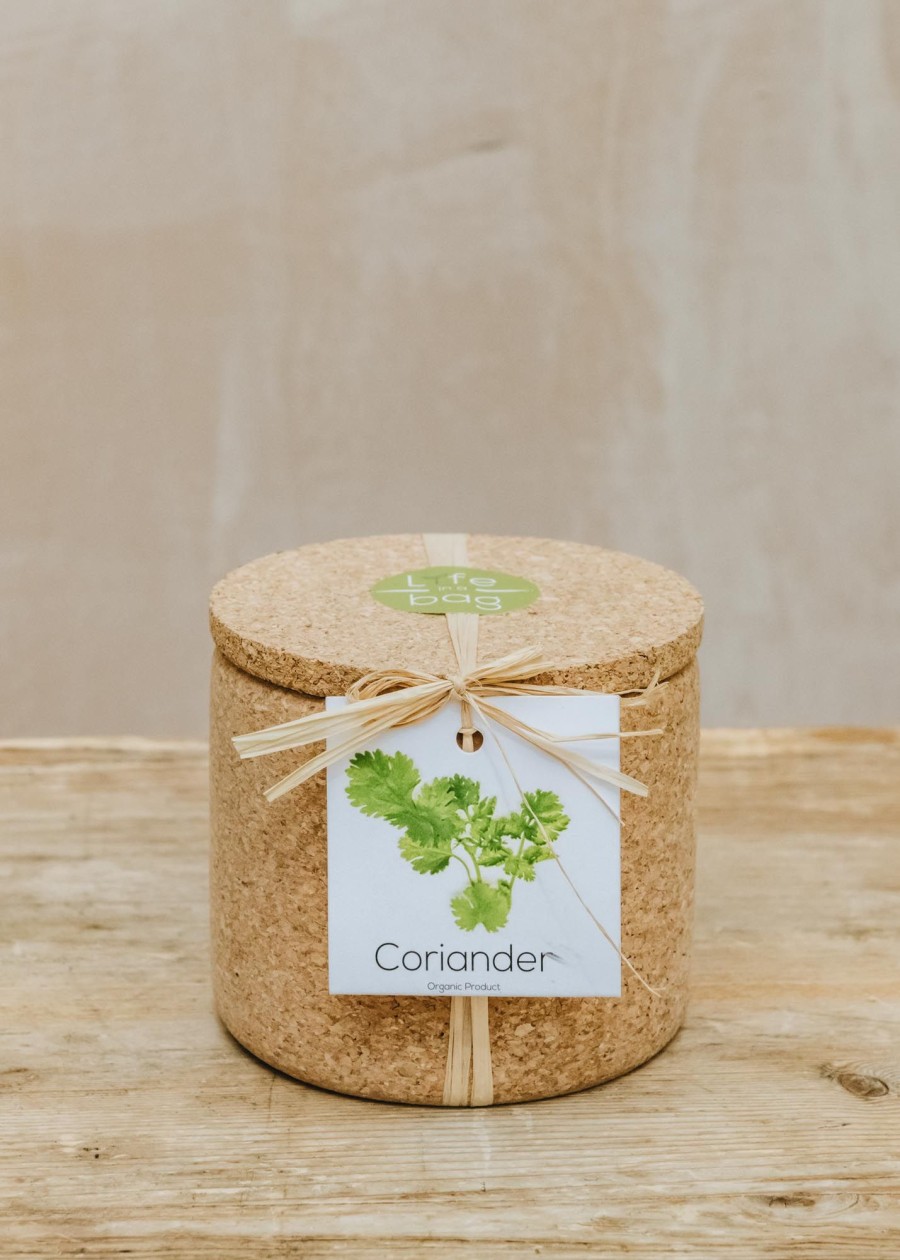 Plants Life in a Bag Seed Gift Sets | Life In A Bag Coriander Grow Cork Pot