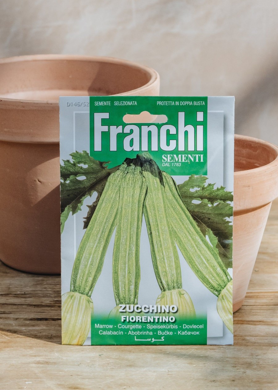 Plants Seeds of Italy Seeds | Franchi Courgette 'Lungo Fiorentino' Seeds