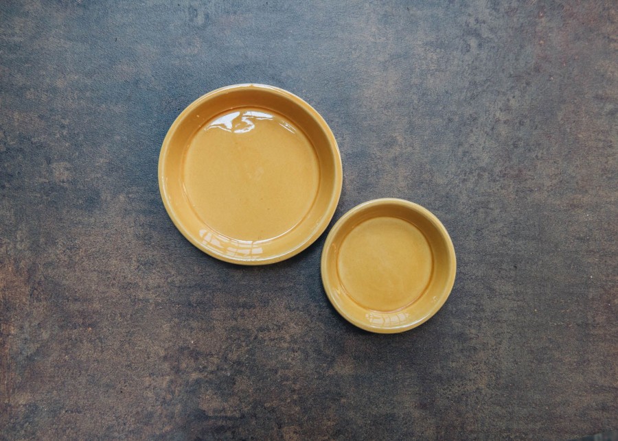 Interiors Bergs Potter Houseplants & Pots | Amber Yellow Glazed Copenhagen Saucers