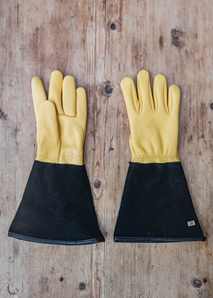 Gardening Jayco Attire | Tough Touch Gardening Gloves