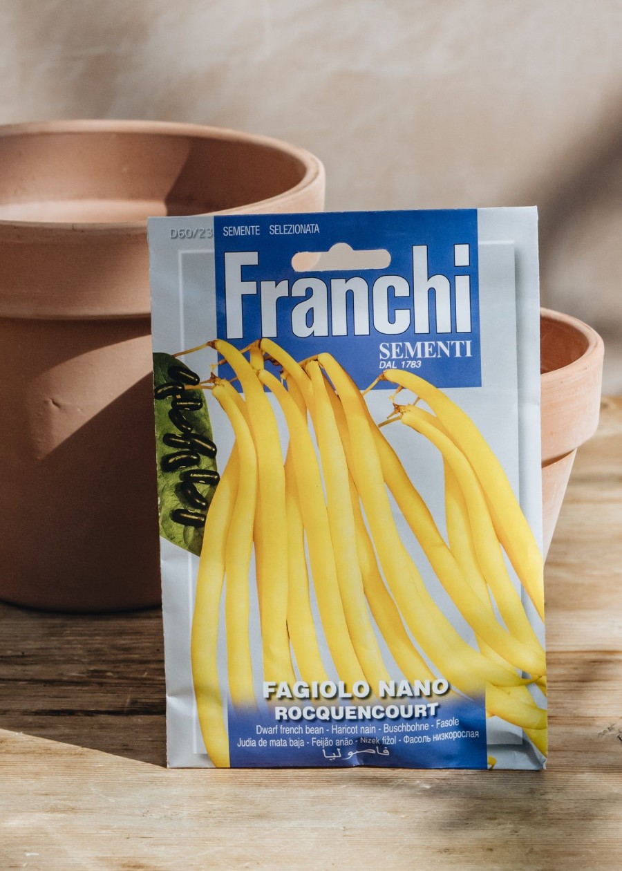 Plants Seeds of Italy Seeds | Franchi Dwarf Bean 'Rocquencourt' Seeds