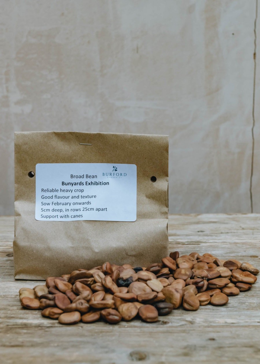 Plants Moles Seeds Pea & Bean Seeds | Broad Bean 'Bunyards Exhibition' Seeds, 250G