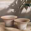 Plants Bergs Potter Pots & Planters | Rosa Daisy Pots