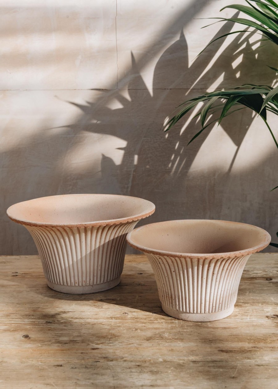 Plants Bergs Potter Pots & Planters | Rosa Daisy Pots