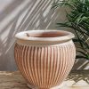 Interiors Bergs Potter Houseplants & Pots | Bergs Potter Piccolina Rosa Pot