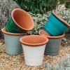 Gardening Smith and Jennings Pots & Planters | Medium Kitchen Planters