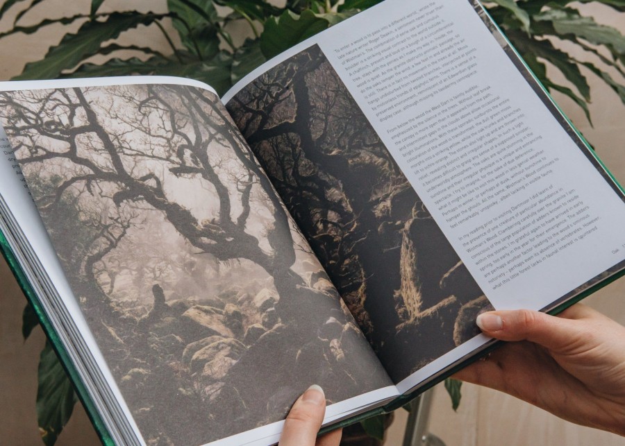 Books Garden and Plants Books Garden & Plants Books | Forest, Walking Among Trees