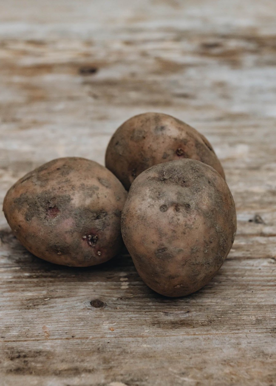 Plants Burford Garden Co. Kitchen Garden | Potato 'Kerr'S Pink'