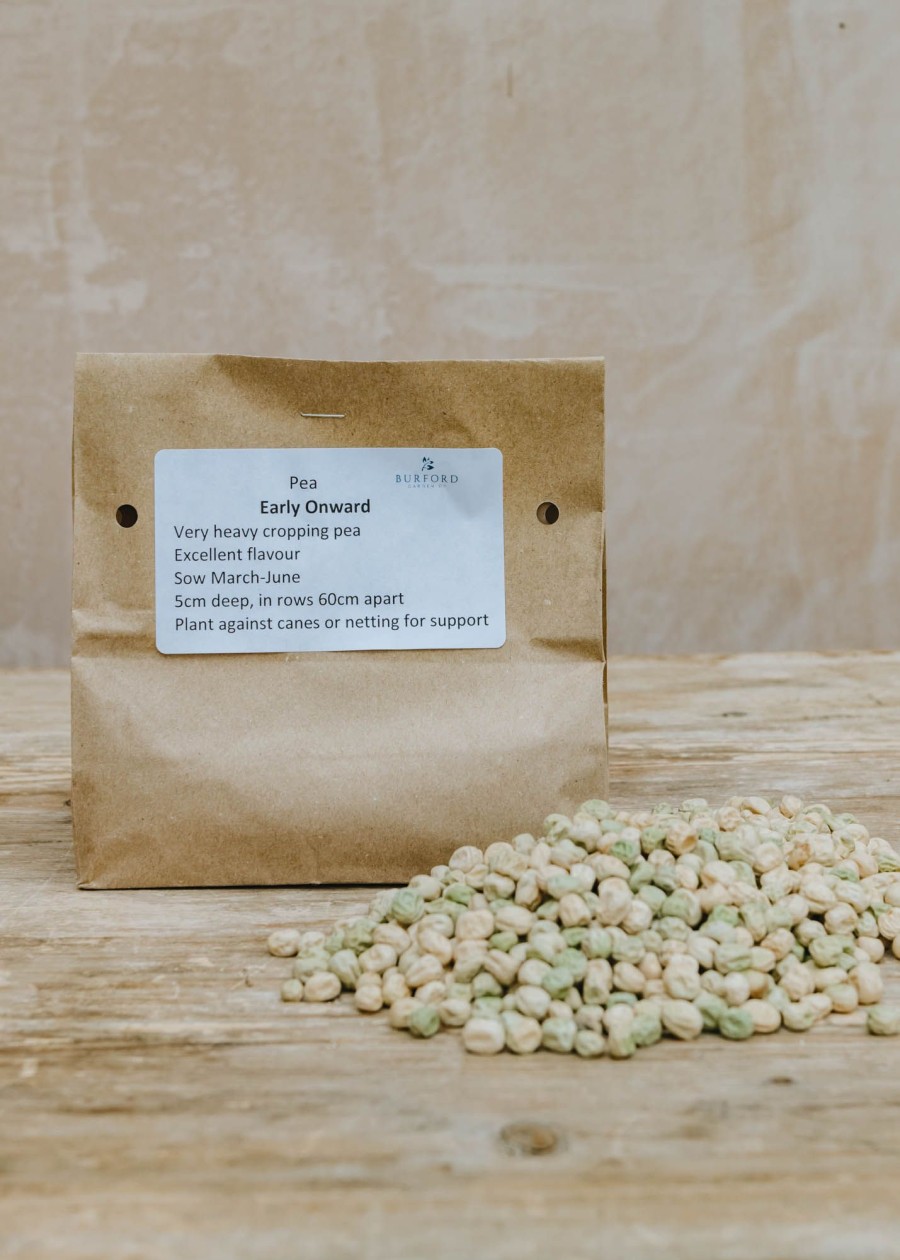 Plants Moles Seeds Pea & Bean Seeds | Pea 'Early Onward' Seeds, 250G