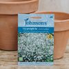 Plants Johnsons Seeds | Gypsophila Covent Garden Seeds